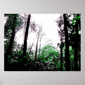 Splashes van de Groene Poster