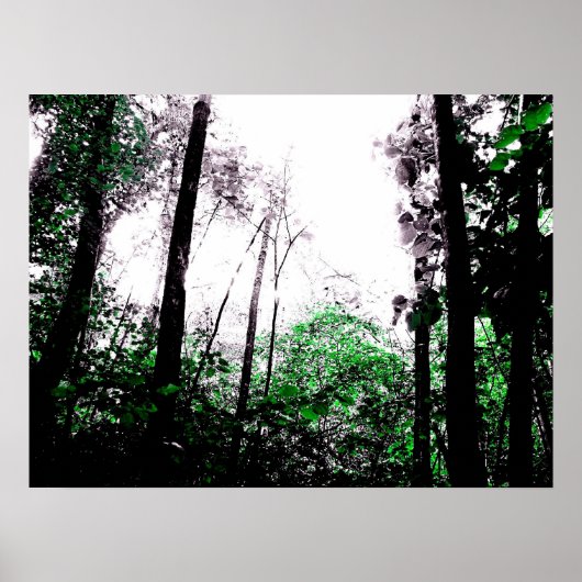 Splashes van de Groene Poster (Voorkant)