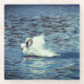 Splashing Onderzetter van zwamglas (Voorkant)