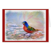 SPLASHING ROBIN RED BREAST (Voorkant Horizontaal)