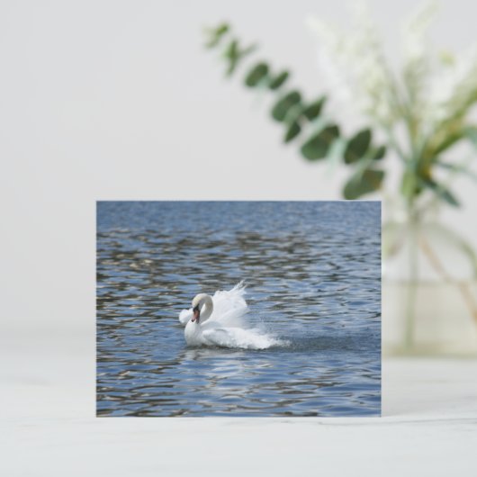 Splashing Swan op een Briefkaart (Staand voorkant)