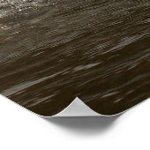 Splashing Swan Print (Hoek)