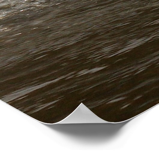 Splashing Swan Print (Hoek)