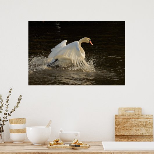 Splashing Swan Print (Keuken)