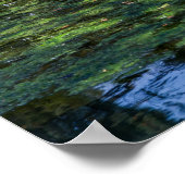 Splashingeend in een vijver poster (Hoek)