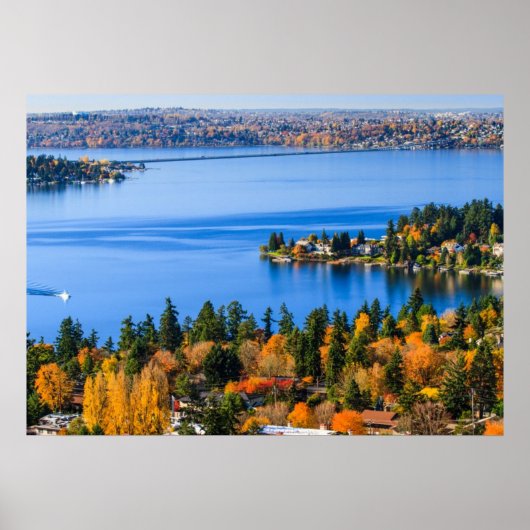 Splendid covu of fall at Bellevue Poster (Voorkant)