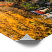 Splendid covu of fall at Bellevue Poster (Hoek)