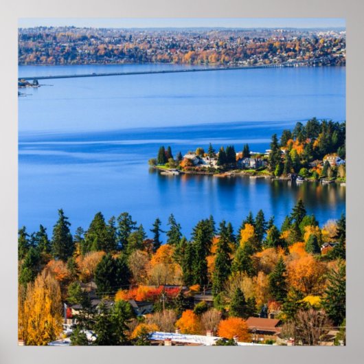 Splendid covu of fall at Bellevue Poster (Voorkant)