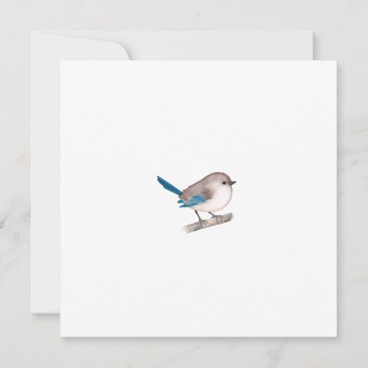 Splendid Fairy Wren Bird on Branch Bedankkaart (Achterkant)