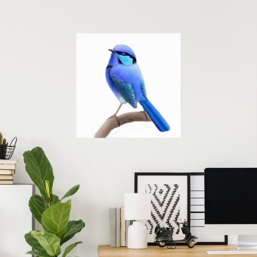 Splendid Fairy Wren Bird Print (Thuiskantoor)