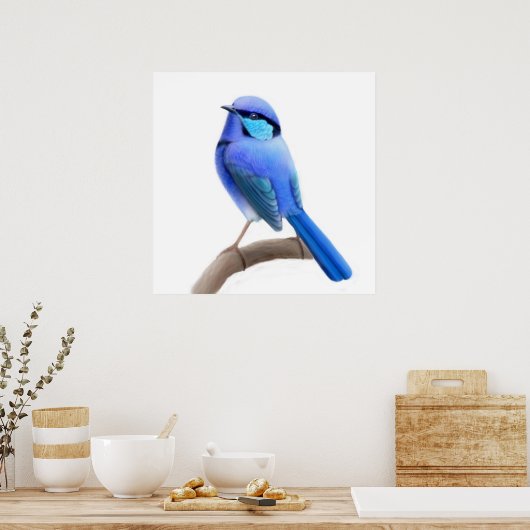 Splendid Fairy Wren Bird Print (Keuken)