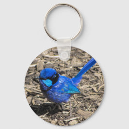 Splendid Fairy Wren Sleutelhanger