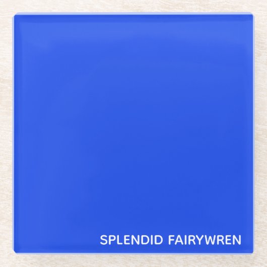 Splendid Fairywren Blue Color Name Glazen Onderzetter (Voorkant)