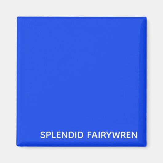 Splendid Fairywren Blue Color Name Magneet (Voorkant)