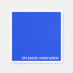 Splendid Fairywren Blue Color Name Servet