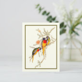 Splendid Grass-Paraket,  Briefkaart (Staand voorkant)