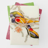 Splendid Grass-Paraket, Gift Inpakpapier Vel (In situ)