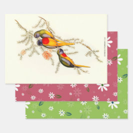 Splendid Grass-Paraket, Gift Inpakpapier Vel