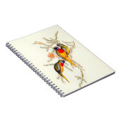 Splendid Grass-Paraket, Notitieboek (Rechterzijde)