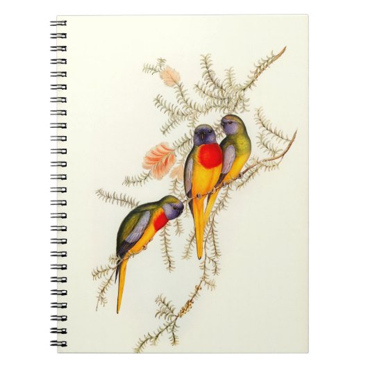 Splendid Grass-Paraket, Notitieboek (Voorkant)