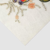 Splendid Grass-Paraket, ontkoppeling Tissuepapier (Detail)