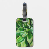 Splendid in Green Bagagelabel (Achterkant verticaal)