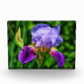 Splendid Iris Flower Fotoblokken (Voorkant)