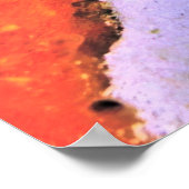 Splendid Toadfish Poster (Hoek)