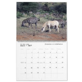 Splendid Wild Creatures - Kenya kalender (twee pag (Mar 2027)