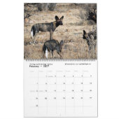 Splendid Wild Creatures - Kenya kalender (twee pag (Feb 2027)