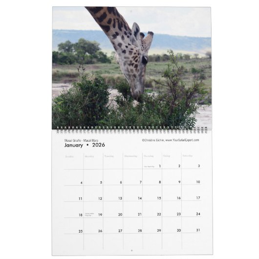 Splendid Wild Creatures - Kenya kalender (twee pag (Jan 2026)