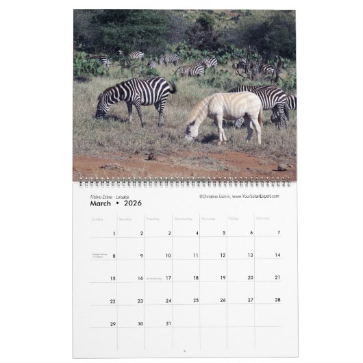 Splendid Wild Creatures - Kenya kalender (twee pag (Mar 2026)