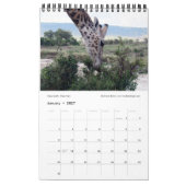 SPLENDID WILDE CREATURES - KENYA-kalender (Single  Kalender (Jan 2027)