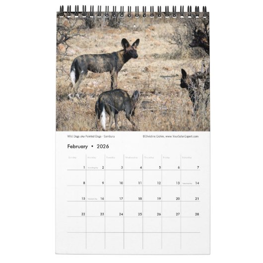 SPLENDID WILDE CREATURES - KENYA-kalender (Single  Kalender (Feb 2026)