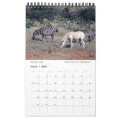 SPLENDID WILDE CREATURES - KENYA-kalender (Single  Kalender (Mar 2026)