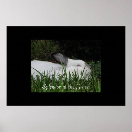 Splendor in de gras poster (Voorkant)