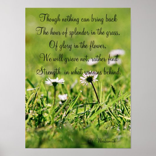 Splendor in het gras poster (Voorkant)