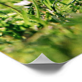 Splendor in het gras poster (Hoek)