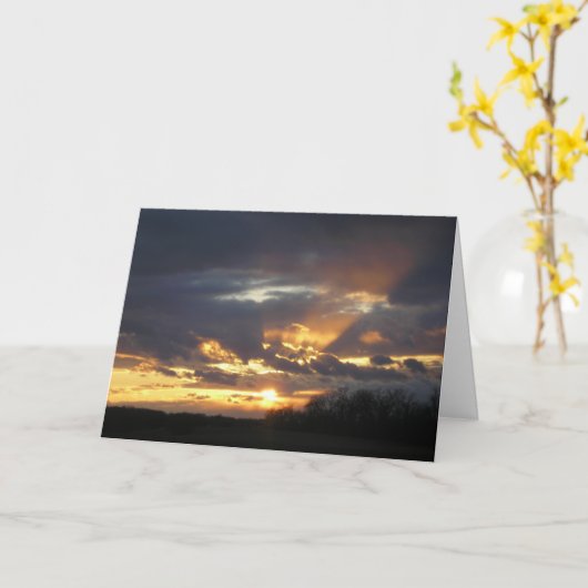 Splendor. Kaart (Gele Bloem)