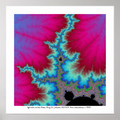 Splendor op het glas poster (Voorkant)