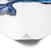 Splish Splash Betta Fish Foto Afdruk (Hoek)