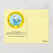 Splish Splash plezier Zeemeeuw zomer Pool Party Briefkaart (Achterkant)