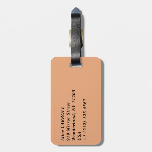 Split city sekustt aerial uitzicht, Dalmatia, Kroa Bagagelabel (Achterkant verticaal)