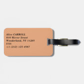 Split city sekustt aerial uitzicht, Dalmatia, Kroa Bagagelabel (Achterkant horizontaal)