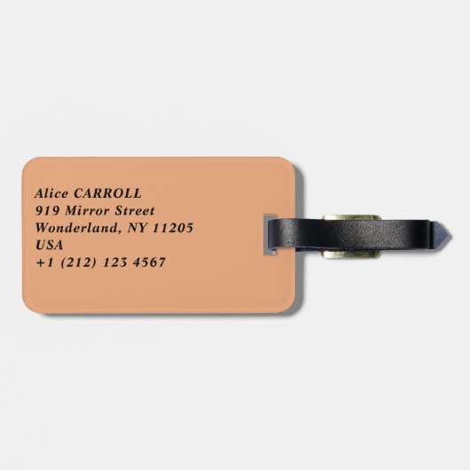 Split city sekustt aerial uitzicht, Dalmatia, Kroa Bagagelabel (Achterkant horizontaal)