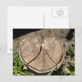 Split-heart-stump-Briefkaart Briefkaart (Voorkant / Achterkant)