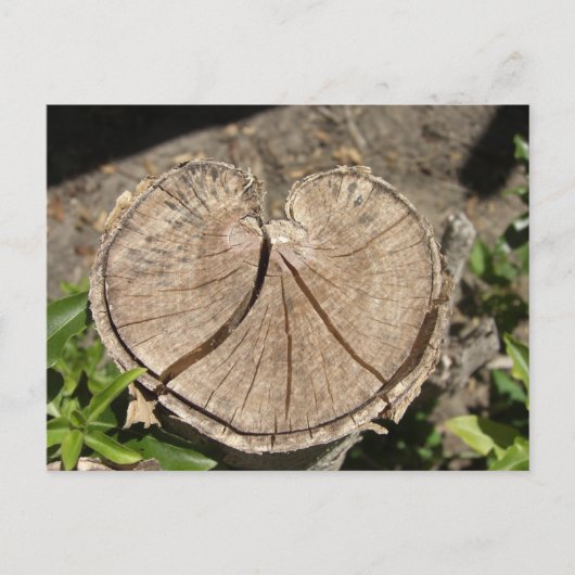 Split-heart-stump-Briefkaart Briefkaart (Voorkant)