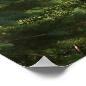 Split Rock Lighthouse Poster (Hoek)