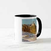 Split Rock Lighthouse State Park aan het meer Mok (Voorkant rechts)