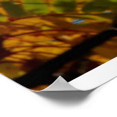 Split Rock vuurtoren in het najaar Poster (Hoek)